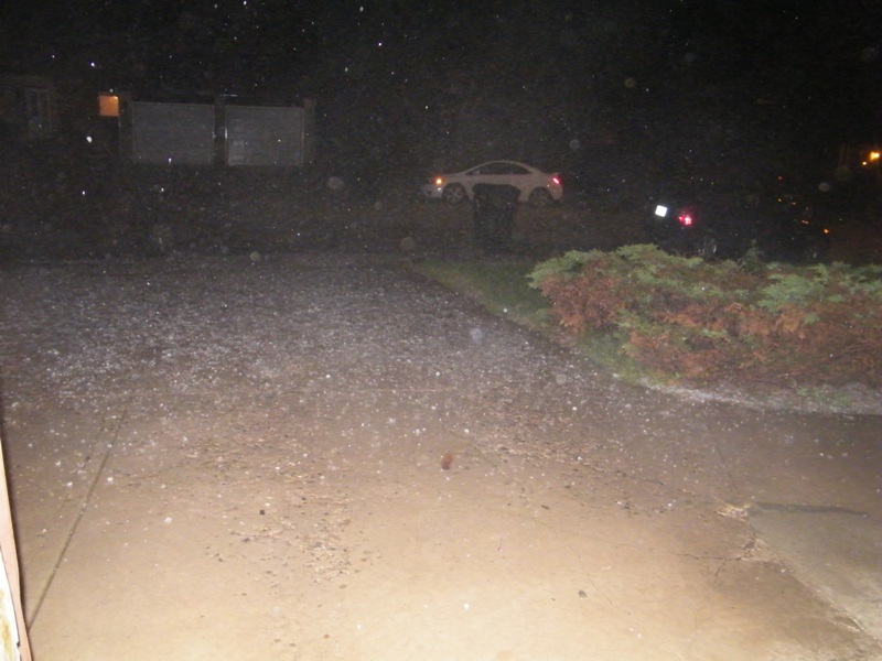 DSCF2537.JPG