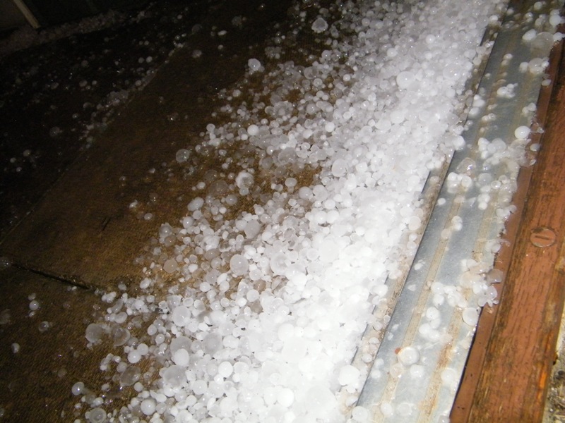 DSCF2550.JPG