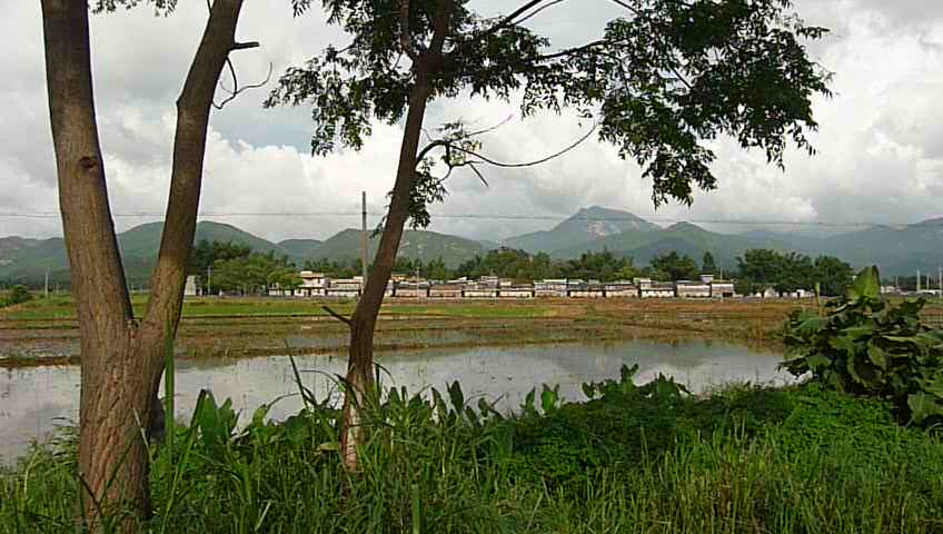 P1050343.JPG