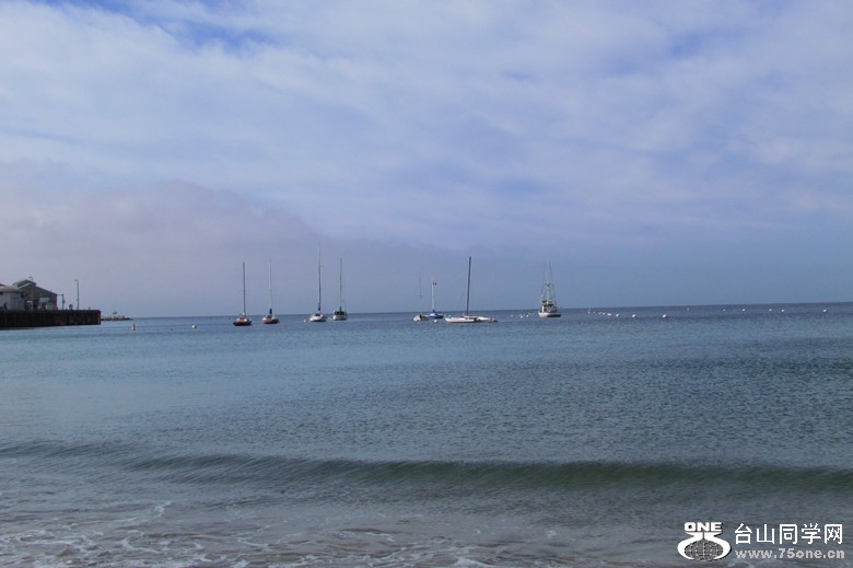 IMG_6288_1.jpg