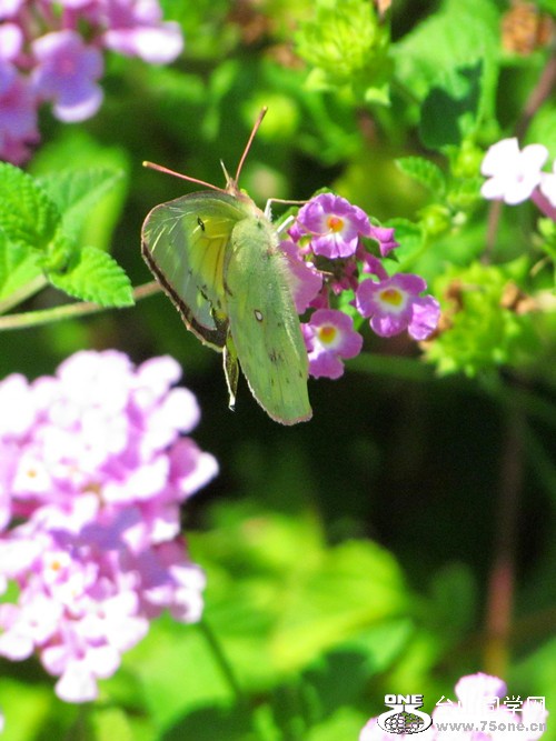 img_8865_1.jpg