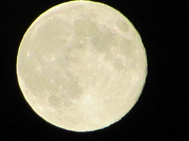 IMG_8894_1.jpg