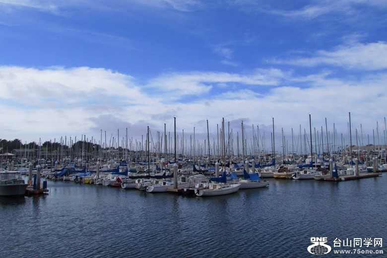 img_6249_1.jpg