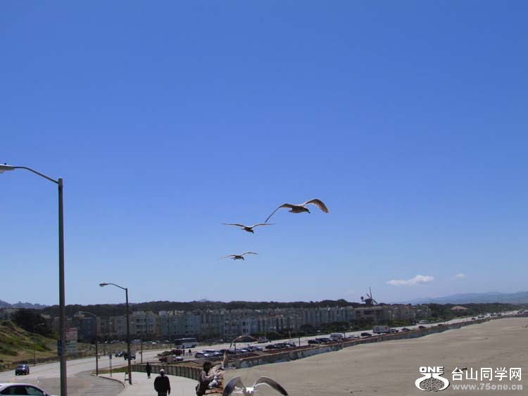 IMG_5262.JPG