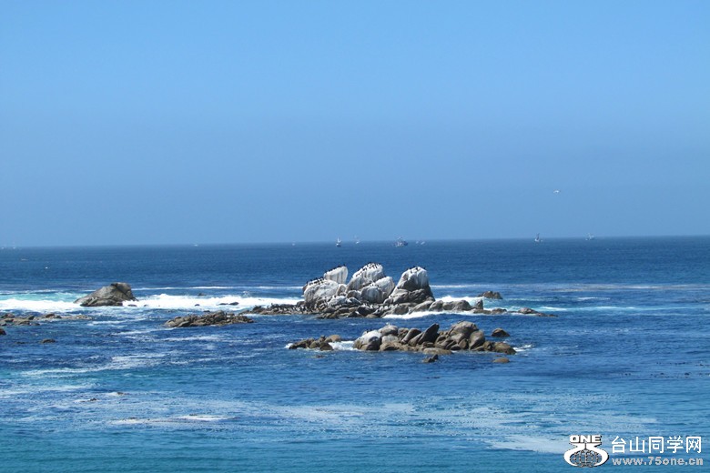 IMG_6634_1.jpg