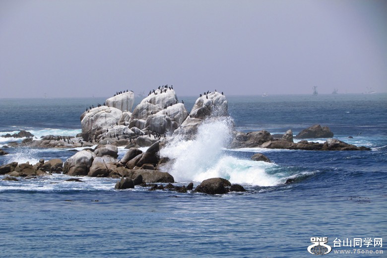 IMG_6523_1.jpg