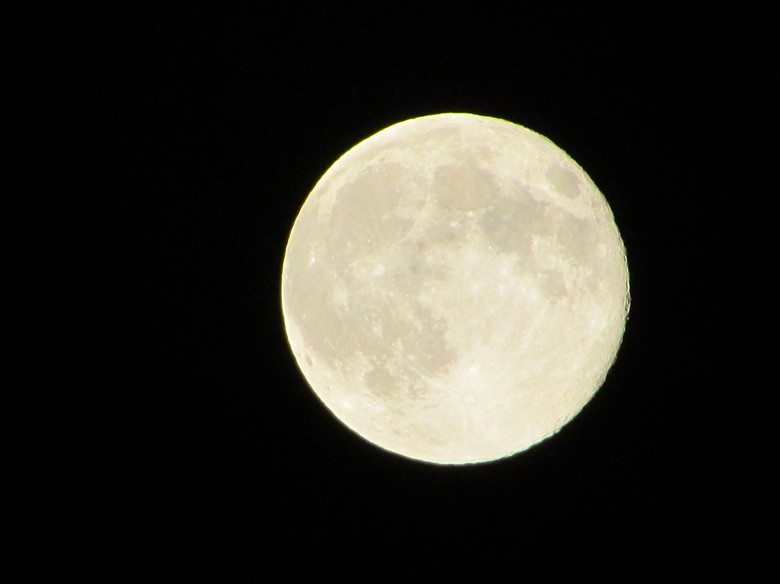 IMG_8892_1.jpg