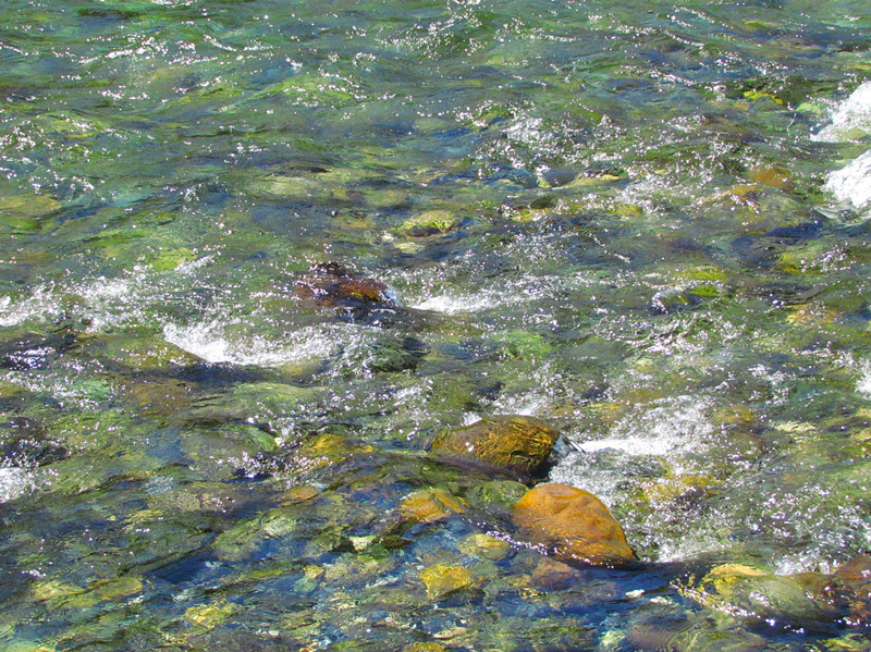 IMG_8355_1.jpg