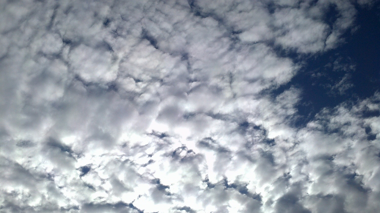 2011-09-08_17-37-43_551 (750x421).jpg