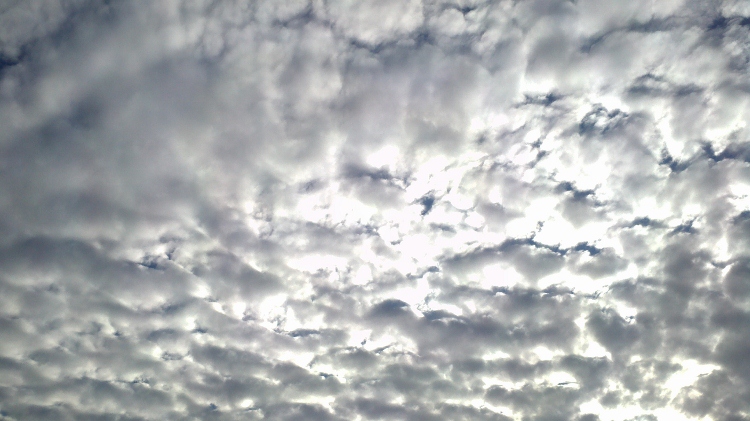 2011-09-08_17-37-16_560 (750x421).jpg