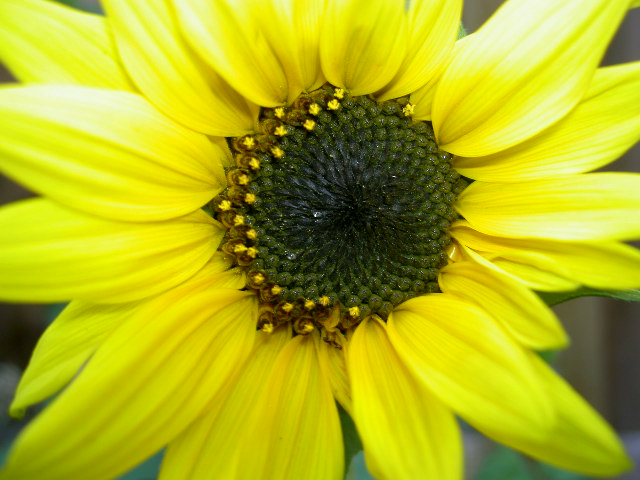New Picture 1 1182.jpg