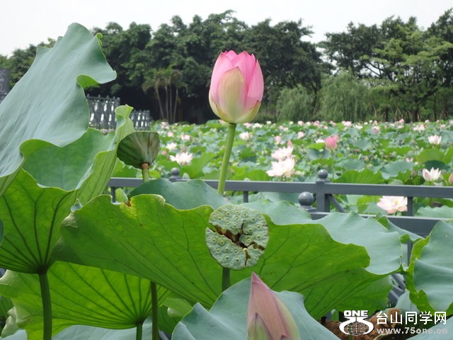 DSC00380.JPG