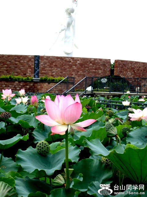 DSC00379.JPG