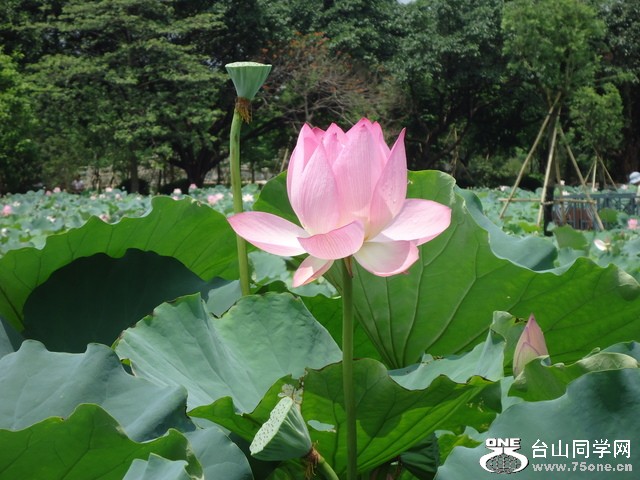 DSC00386.JPG