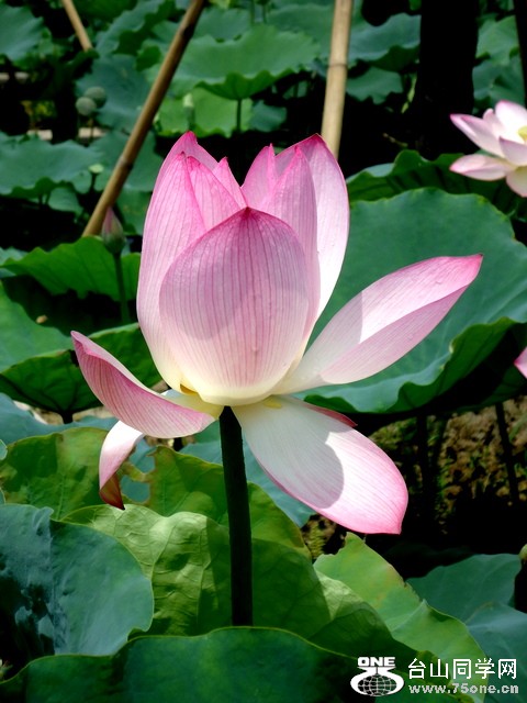 DSC00392.JPG