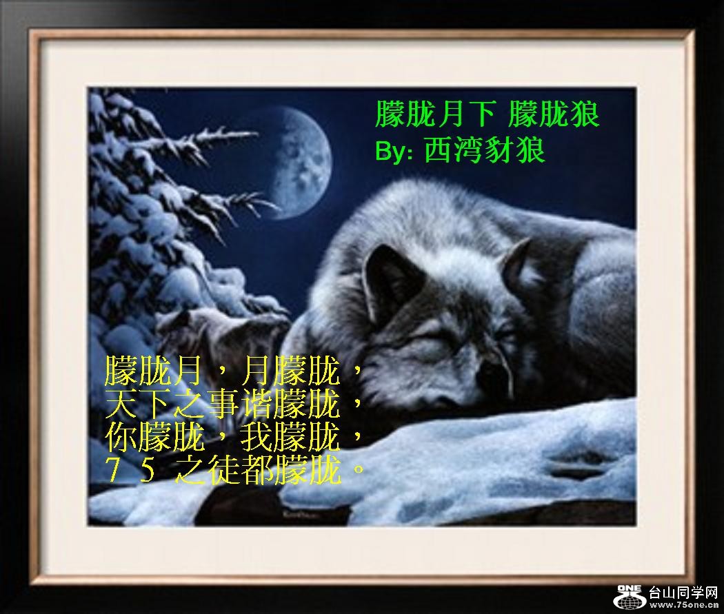 朦胧狼2.JPG