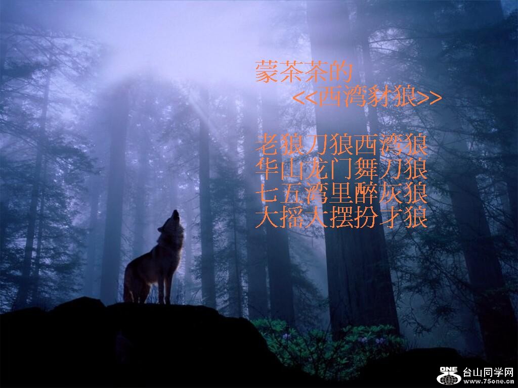 西湾豺狼.JPG