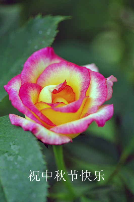 DSC_0081_.jpg