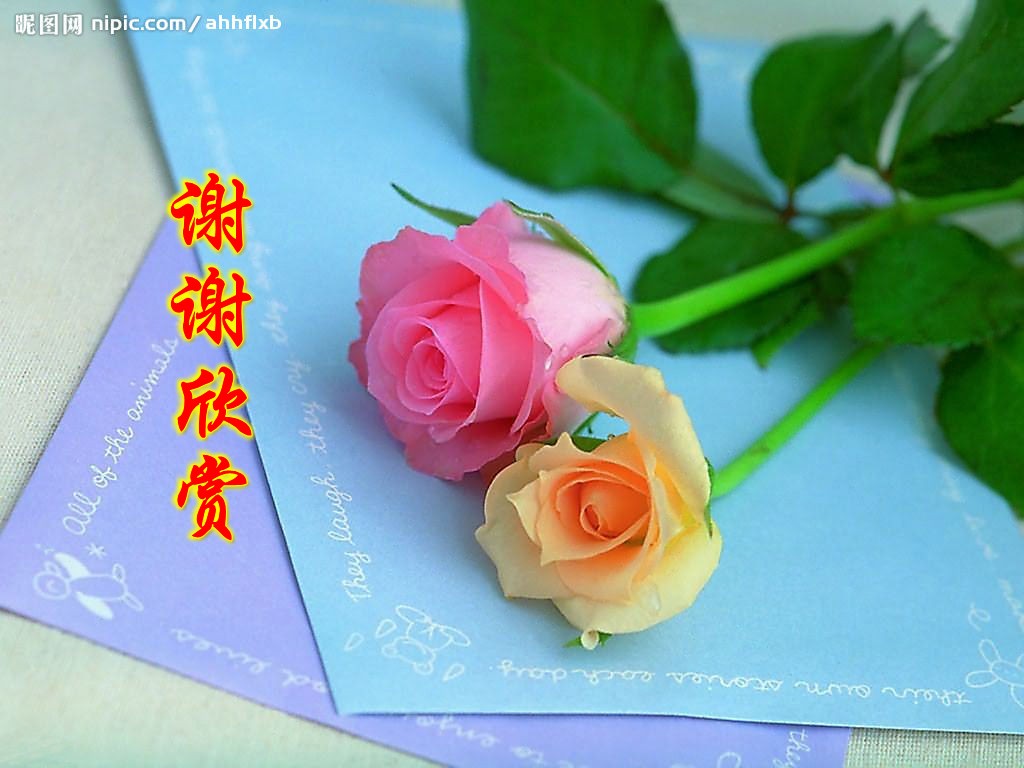 2008217134222836_2_conew1.jpg
