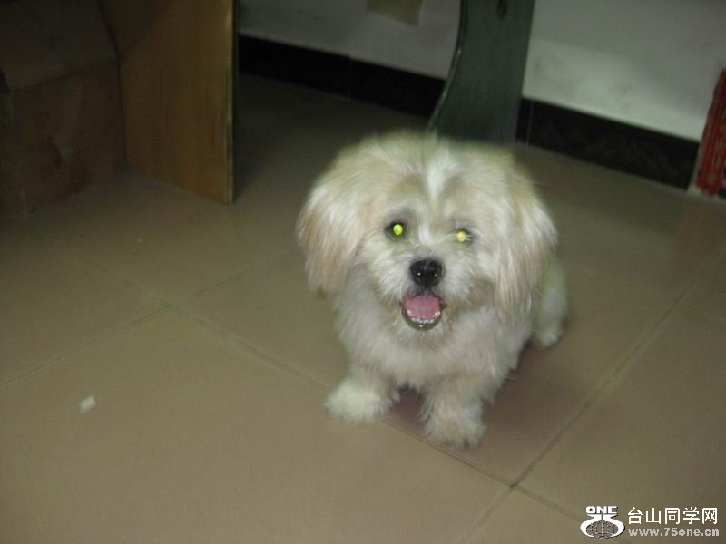 2011.9.13.ī 038.jpg