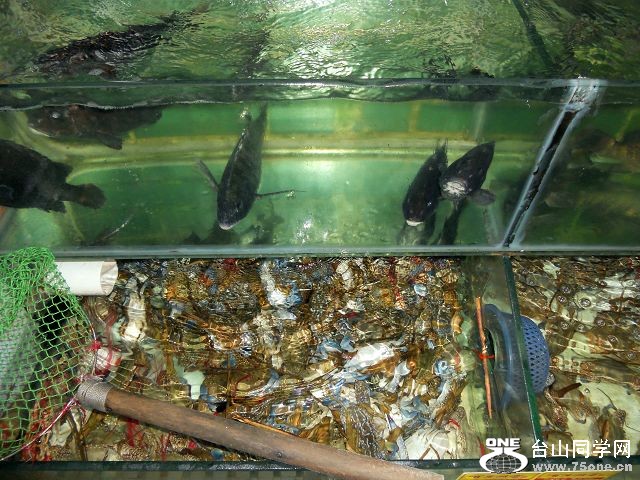 DSCN0949.JPG