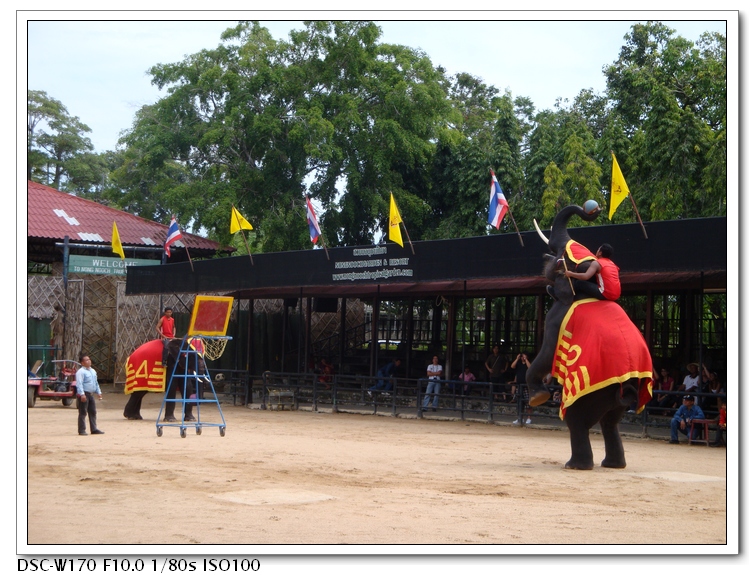 DSC01636.jpg