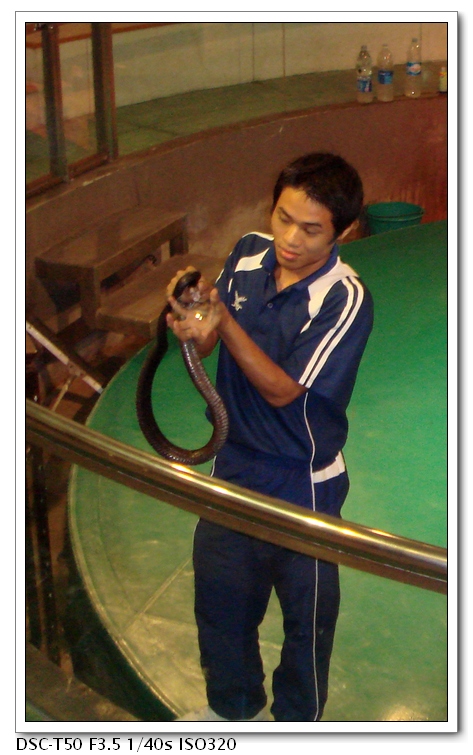 DSC07955.jpg