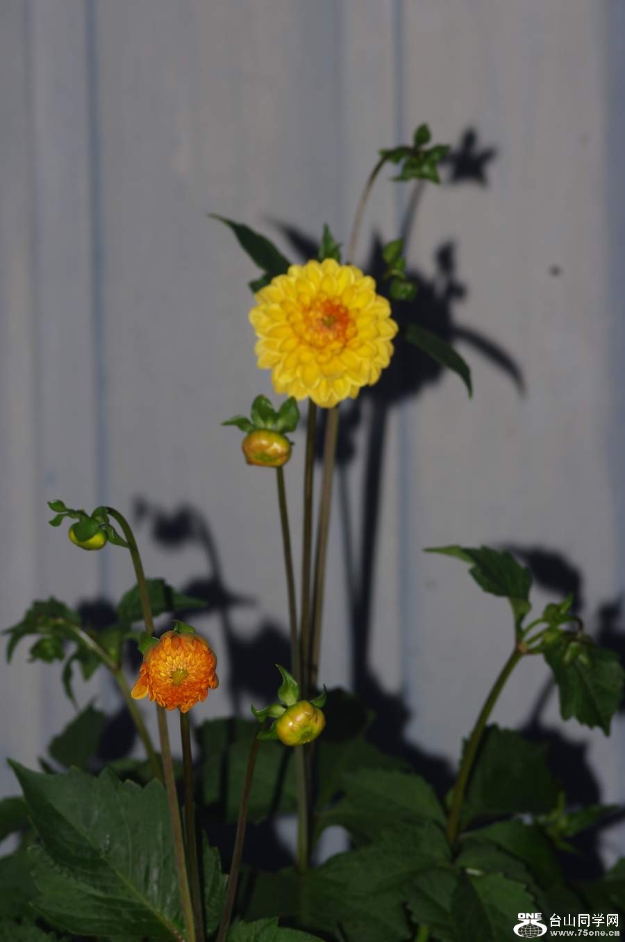 2010 913.jpg