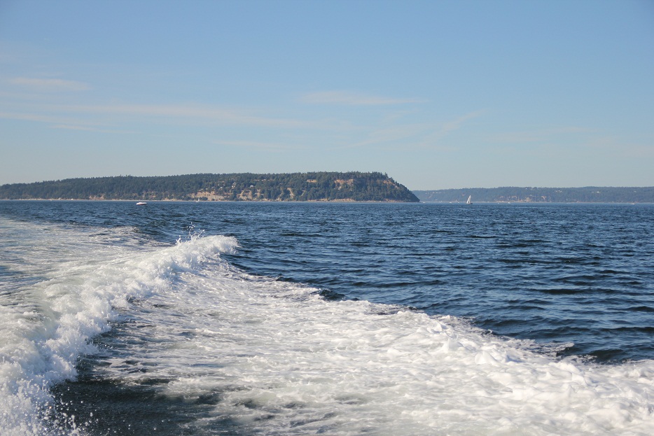 IMG_8835w.jpg