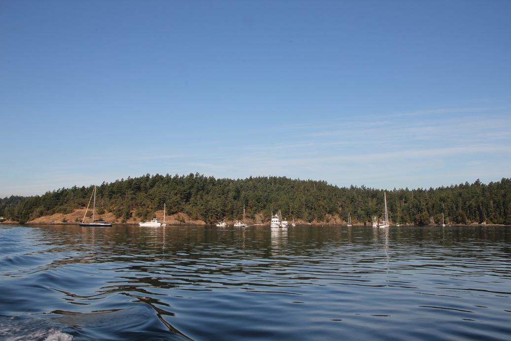 IMG_8631w.jpg