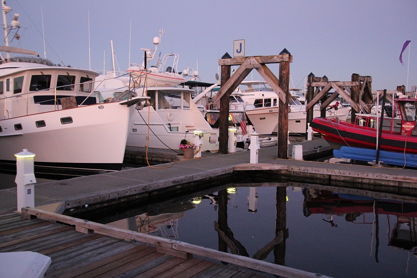 IMG_8537w.jpg