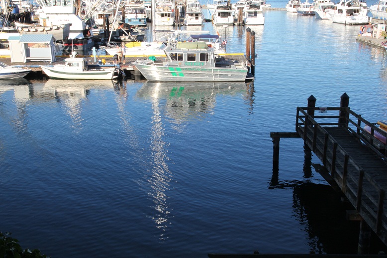 IMG_8475w.jpg