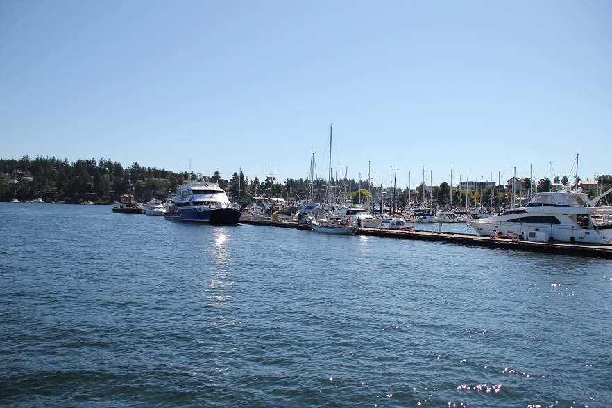 IMG_8393w.jpg