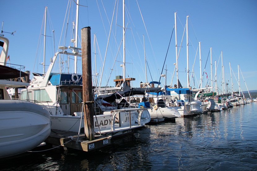 IMG_8435w.jpg