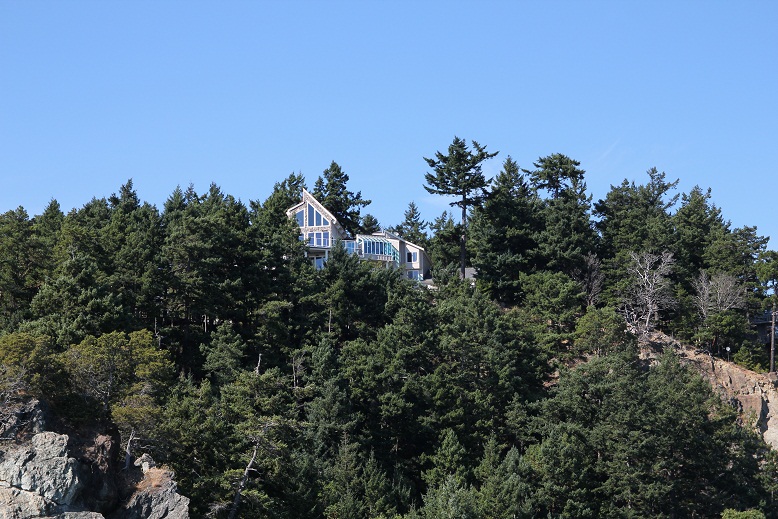IMG_8788w.jpg