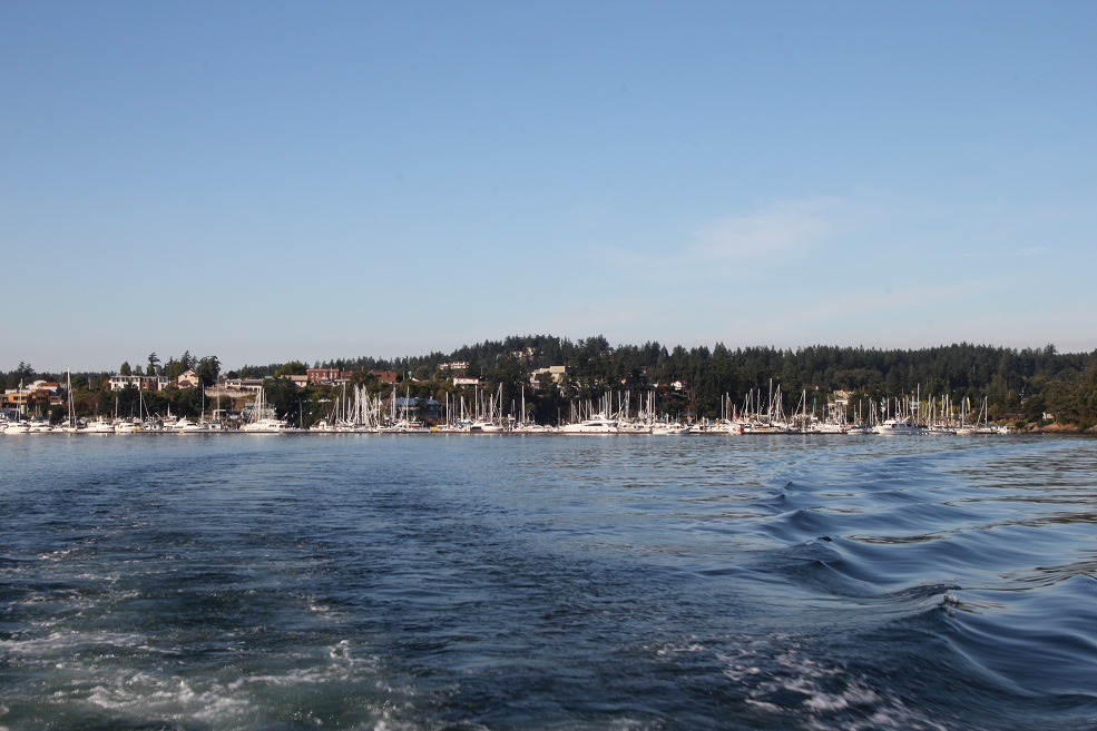 IMG_8633w.jpg