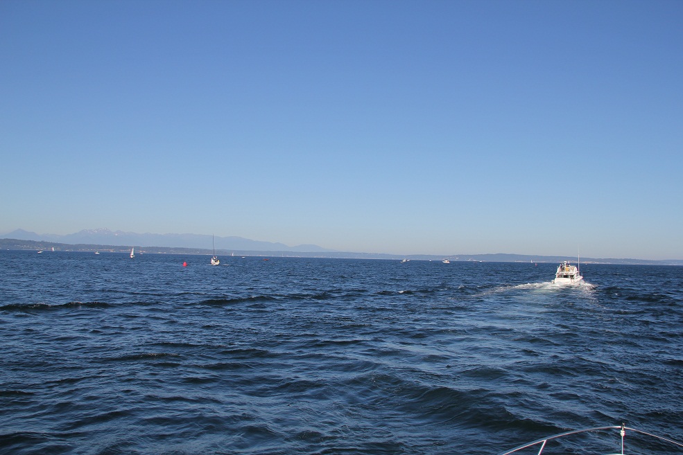 IMG_8355w.jpg