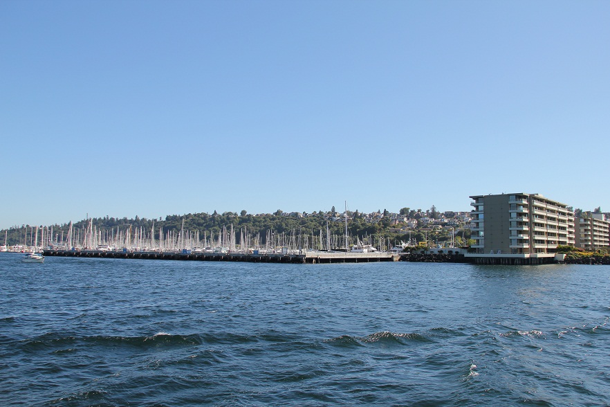 IMG_8353w.jpg