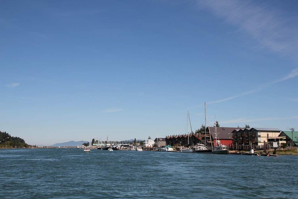 IMG_8724w.jpg