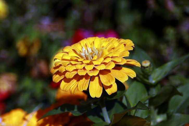С IMG_7553.JPG