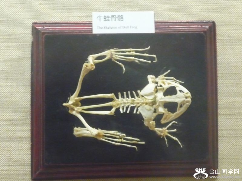 ½4.JPG
