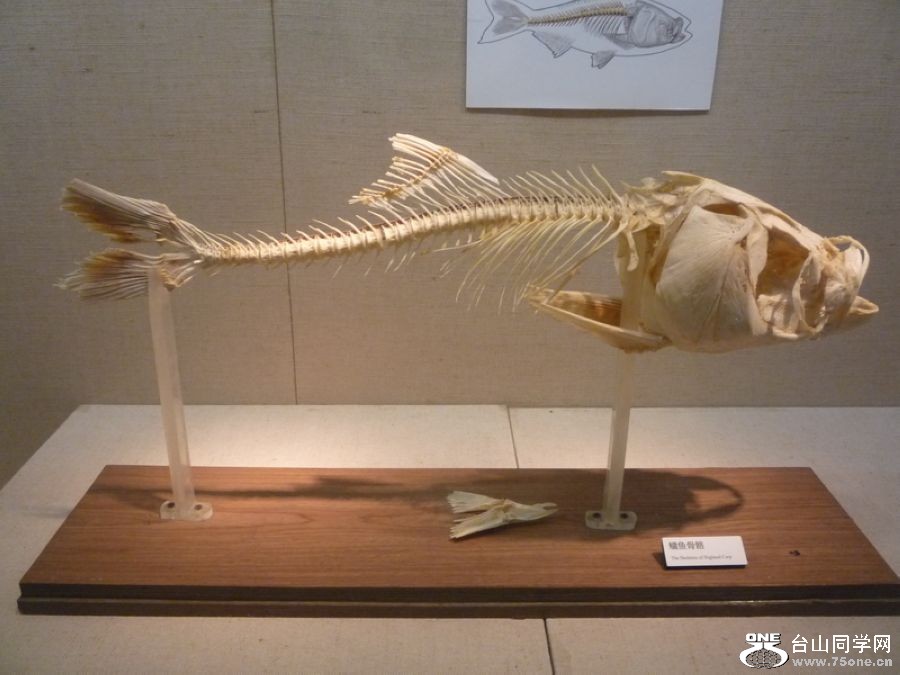½5.JPG