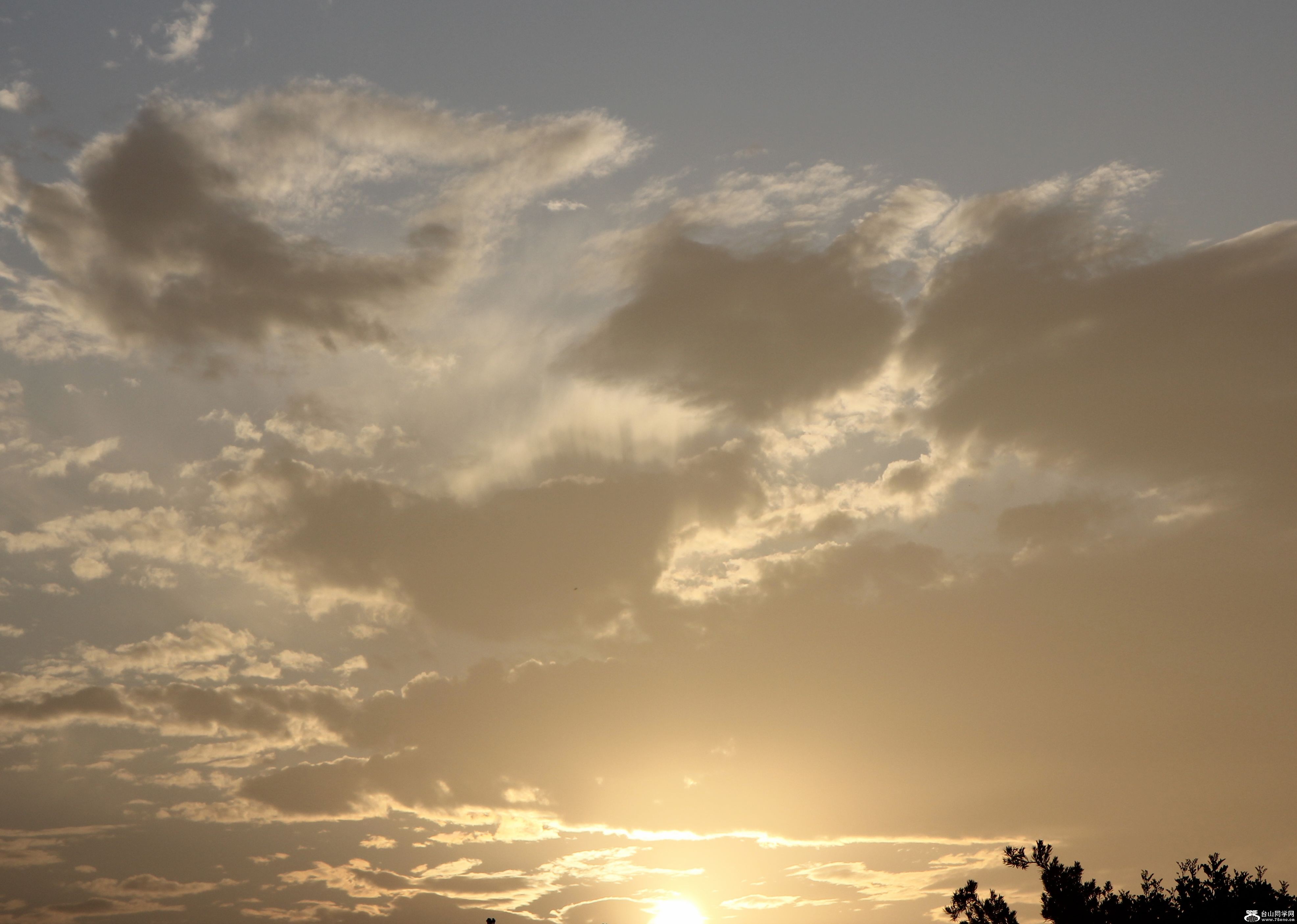 IMG_1366-1.jpg
