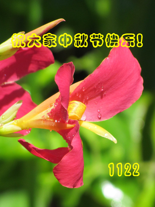 IMG_7806_3.jpg