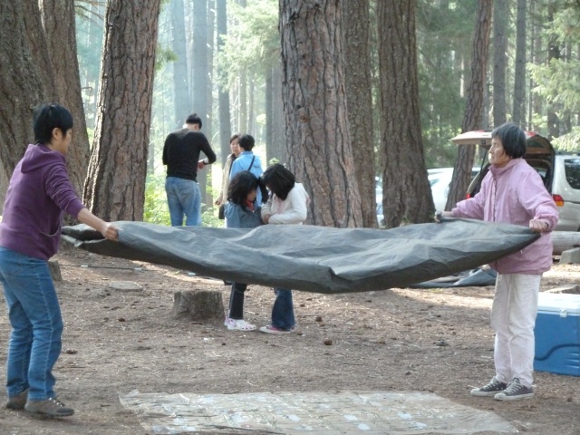 P1010235.jpg