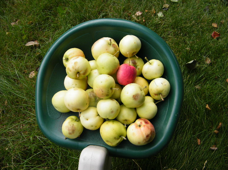 DSCF7640.JPG
