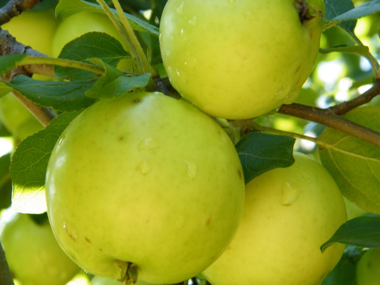 DSCF2753.JPG