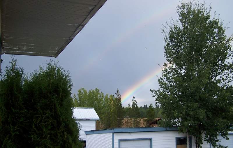 2010 880.jpg