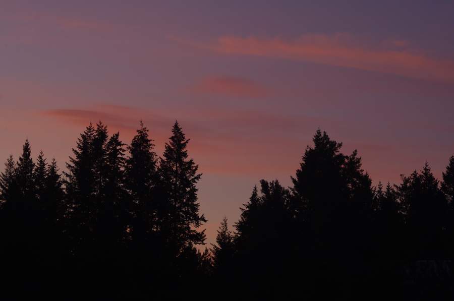 2010 855.jpg
