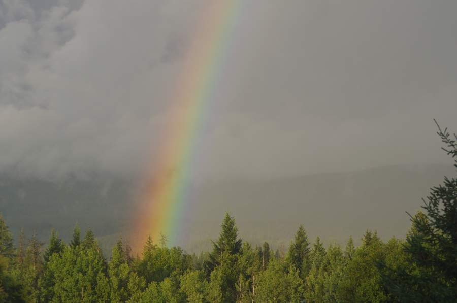 2010 869.jpg